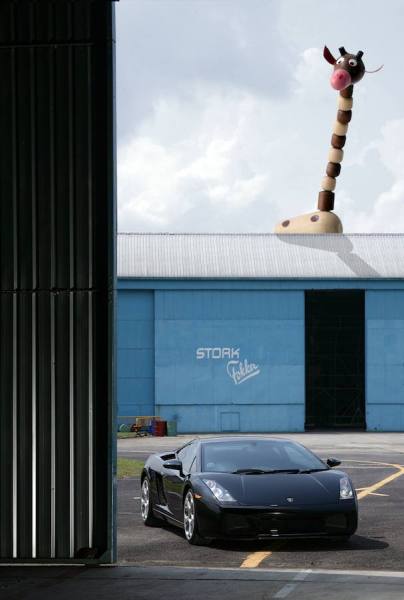 Photograph Ivan Joshua Loh Tall Order on One Eyeland